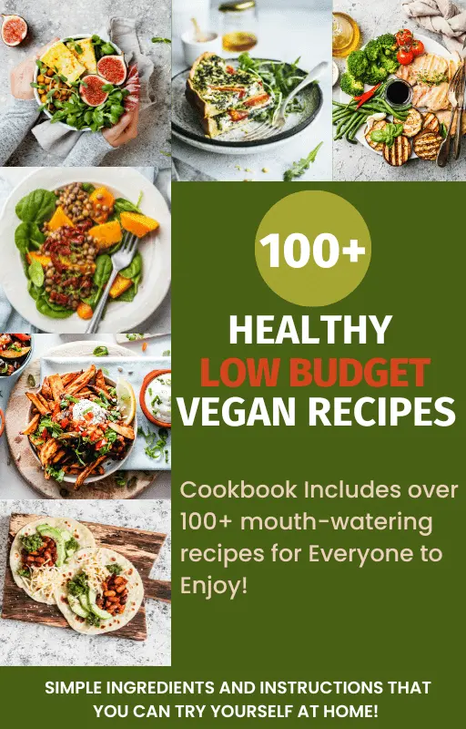 Vegan Recipes Cookbook for Beginners – Never done it before? Now You ...